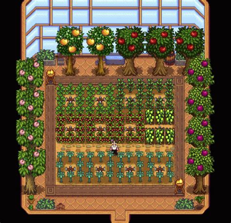 can i move fruit trees stardew|stardew valley tree planting layout.